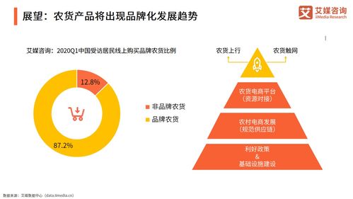 2021年中國農(nóng)產(chǎn)品電商發(fā)展報(bào)告 信息咨詢視角